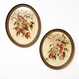 VTG 70's Framed Botanical Flower Print Wall Decor Cottage Farmhouse Signed 12x15